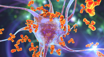 Bestimmte Autoantikörper, die Blutgefäße und Nervenzellen angreifen, kommen bei Long-Covid-Patienten vermehrt vor. (© Dr_Microbe - stock.adobe.com)