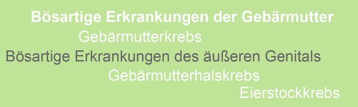 Typo mit weißer Schrift auf verblasstem grünen Grund, die eine Auflistung bösartiger gynäkologischer Erkrankungen zeigt. Der Begriff Bösartige Erkrankungen des äußeren Genitals ist hervorgehoben.