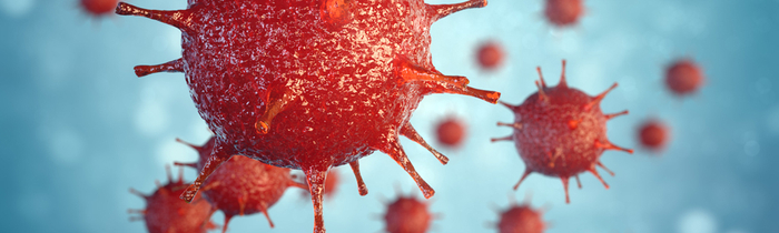 Darstellung eines Virus, das eine Infektion auslösen und bei Menschen mit Immundefekt großen Schaden anrichten kann.