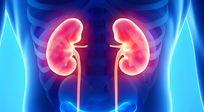 Niere mit eingeschränkter Funktion