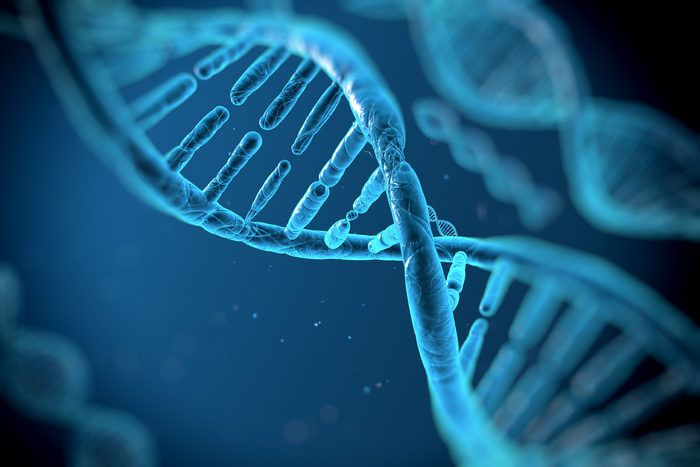 Ein primärer Immundefekt ist angeboren und durch genetische Ursachen entstanden.