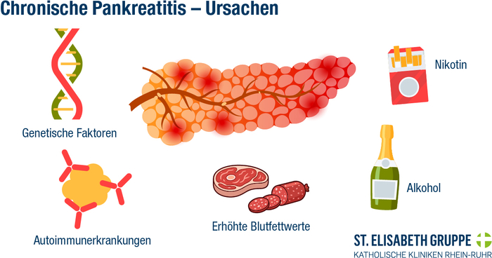 Illustrative Darstellung der unterschiedlichen möglichen Ursachen einer chronischen Bauchspeicheldrüsenentzündung